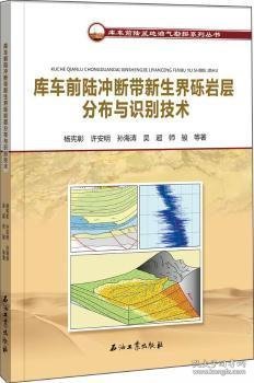 库车前陆冲断带新生界砾岩层分布与识别技术