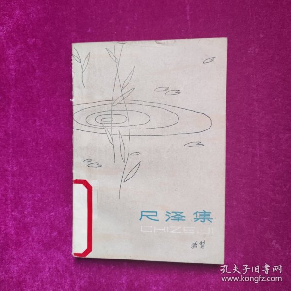 尺泽集 孙犁 百花文艺出版社（馆藏）