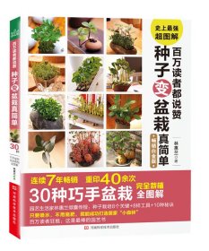正版書籍百萬讀者都說贊 種子變盆栽真簡(jiǎn)單：30種巧手盆栽接栽植全圖解（暢銷白金版）林惠蘭9787534962615新華倉庫多倉直發(fā)