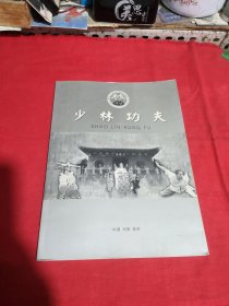 少林功夫画册