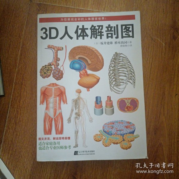 3D人体解剖图