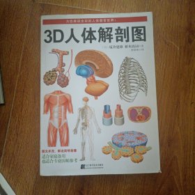 3D人体解剖图