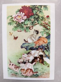 五十年代美术明信片:猫蝶图
