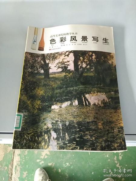 高等美术院校教学丛书：色彩风景写生