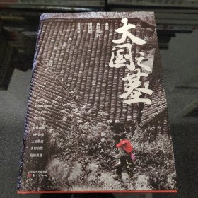 大国之基：中国乡村振兴诸问题