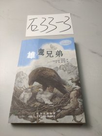 沈石溪世界动物小说典藏雄鹰兄弟