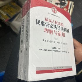 最高人民法院民事诉讼法司法解释理解与适用