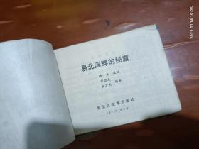 连环画：易北河畔的密窟