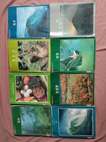 生活自然文库13本，生活科学文库5本共18本合售包括水，人体，机器，健康和疾病，生态学，山，食物和营养，南北极，地球，宇宙，沙漠，澳大利西亚 陆地和野生生物，热带亚洲 陆地和野生生物，森林海洋，南美洲，进化，原始人