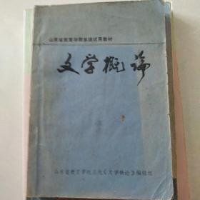 山东省教育学院系统试用教材   文学概论