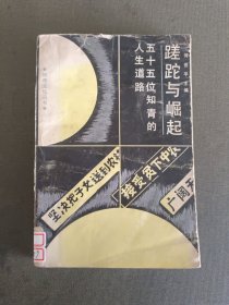 知青文化丛书:蹉跎与崛起——五十五位知青的人生道路