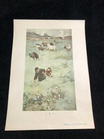 五十年代 画片 年画 《 拾蘑菇 》方增先作 36.5*26厘米.