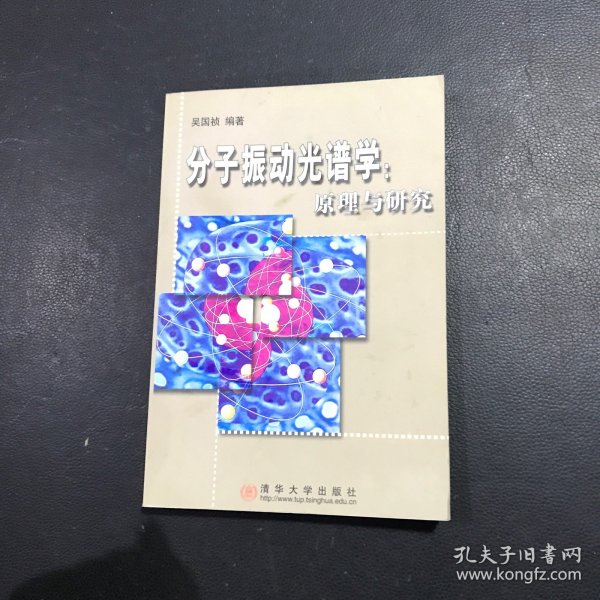 分子振动光谱学 原理与研究