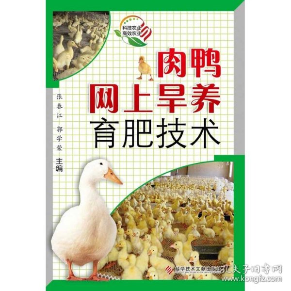 肉鸭网上旱养育肥技术