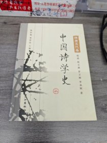中国诗学史：隋唐五代卷