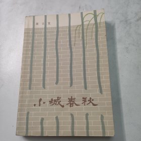 小城春秋 红色文学 怀旧收藏 黄纸铅印小开本 一版一印 私藏好品