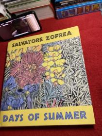 SALVATORE ZOFREA DAYS OF SUMMER 萨尔瓦多