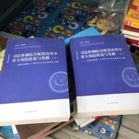 司法体制综合配套改革中重大风险防范与化解——全国法院第31届学术讨论会获奖论文集