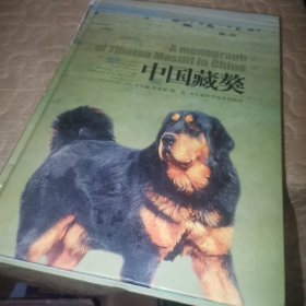 中国藏獒