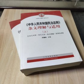 中华人民共和国民法总则 条文理解与适用（套装上下册）