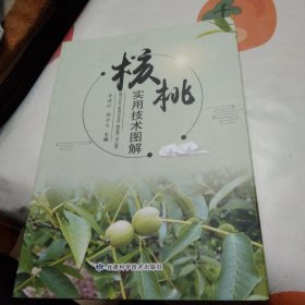 核桃實(shí)用技術(shù)圖解