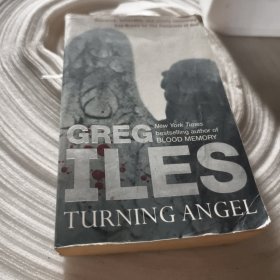 实物拍照：greg iles turning angel