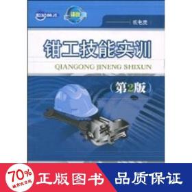钳工技能实训(第2版)(高职) 大中专高职机械 王德洪