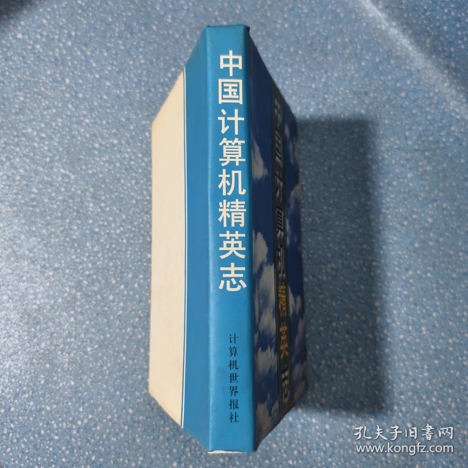 中国计算机精英志【精装本】