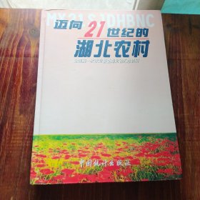 湖北农村经济:全国第一次农业普查全省各乡镇汇总资料