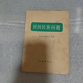 回回民族问题