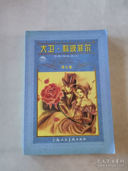 世界文学名著宝库：大卫·科波菲尔（青少版）