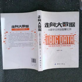 走向大数据：从数字北京到智慧北京