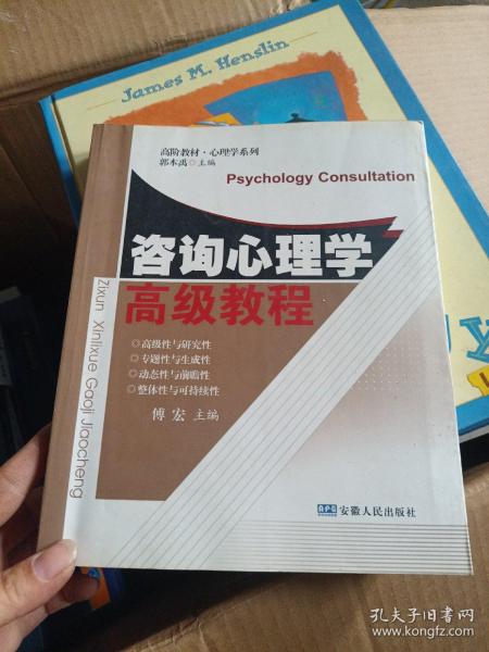 咨询心理学高级教程