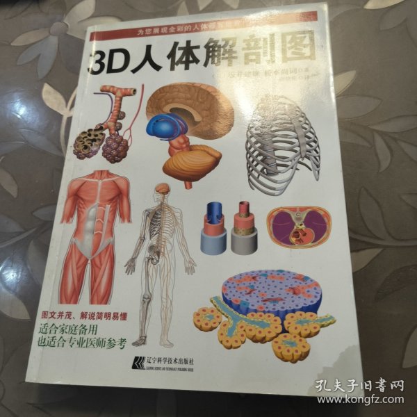 3D人体解剖图