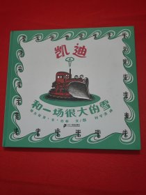 凯迪和一场很大的雪