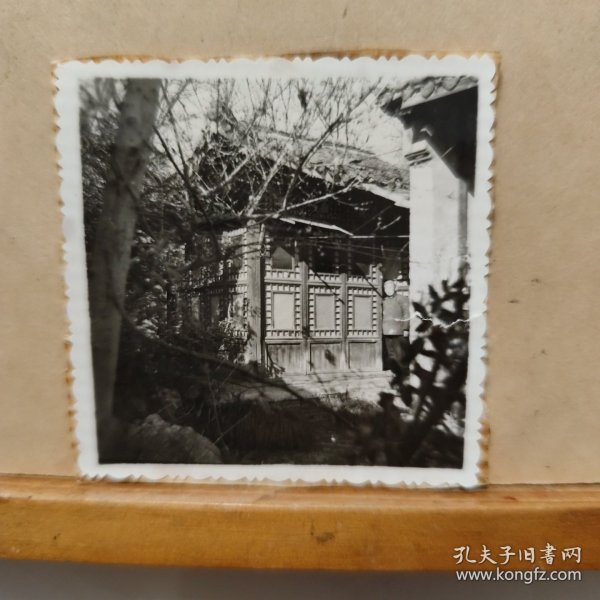 老照片 : 老宅门前 一一遥望(6cmx6cm)