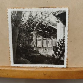 老照片 : 老宅门前 一一遥望(6cmx6cm)