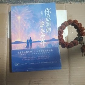 你迟到的这么多年》（全二册）（口碑作者沈南乔畅销代表作《我只害怕我爱你》全新增修版，国民伪兄妹CP高甜上线！）