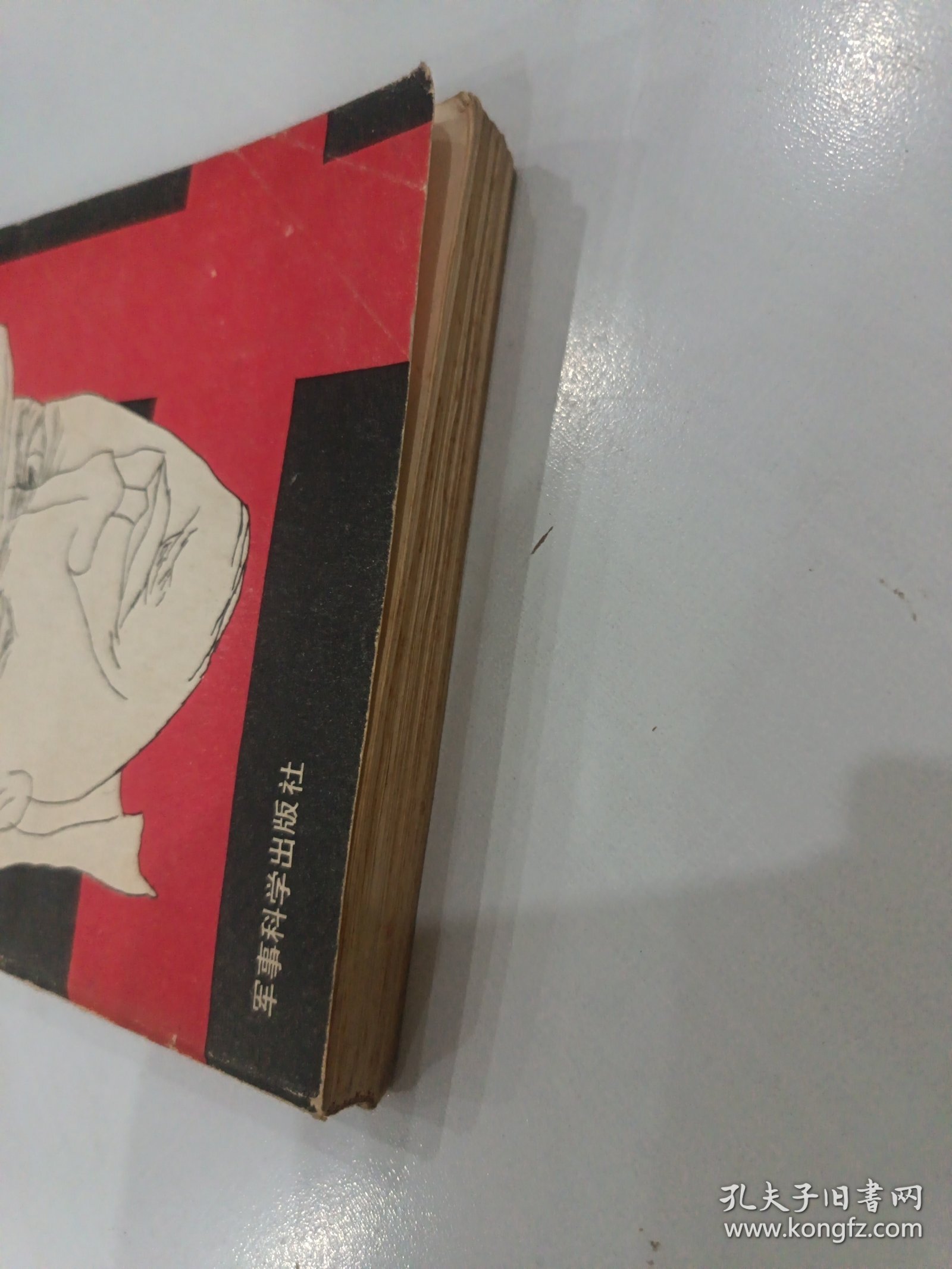 纳粹间谍沃尔夫