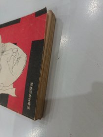 纳粹间谍沃尔夫