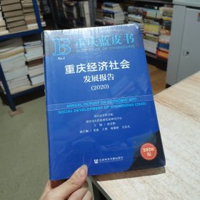 重庆经济社会发展报告2020 社会科学文献出版社 未拆封