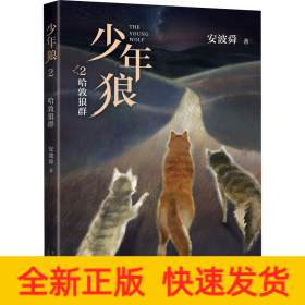 少年狼 2 哈敦狼群