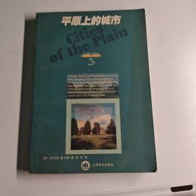 平原上的城市
