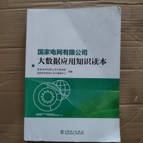 国家电网有限公司大数据应用知识读本