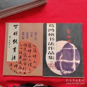 中国当代书法家作品丛书 ：【10本合售】【丁明镜书法，卢汝福书仙都历代名人题咏诗，苏扬子平书法作品集，杨少华书法作品集，黄君书法作品集，葛鸿桢书法作品集，袁立中书法作品集，刘崇文书法作品集，冷望高书法作品集，丁国光书法作品集】