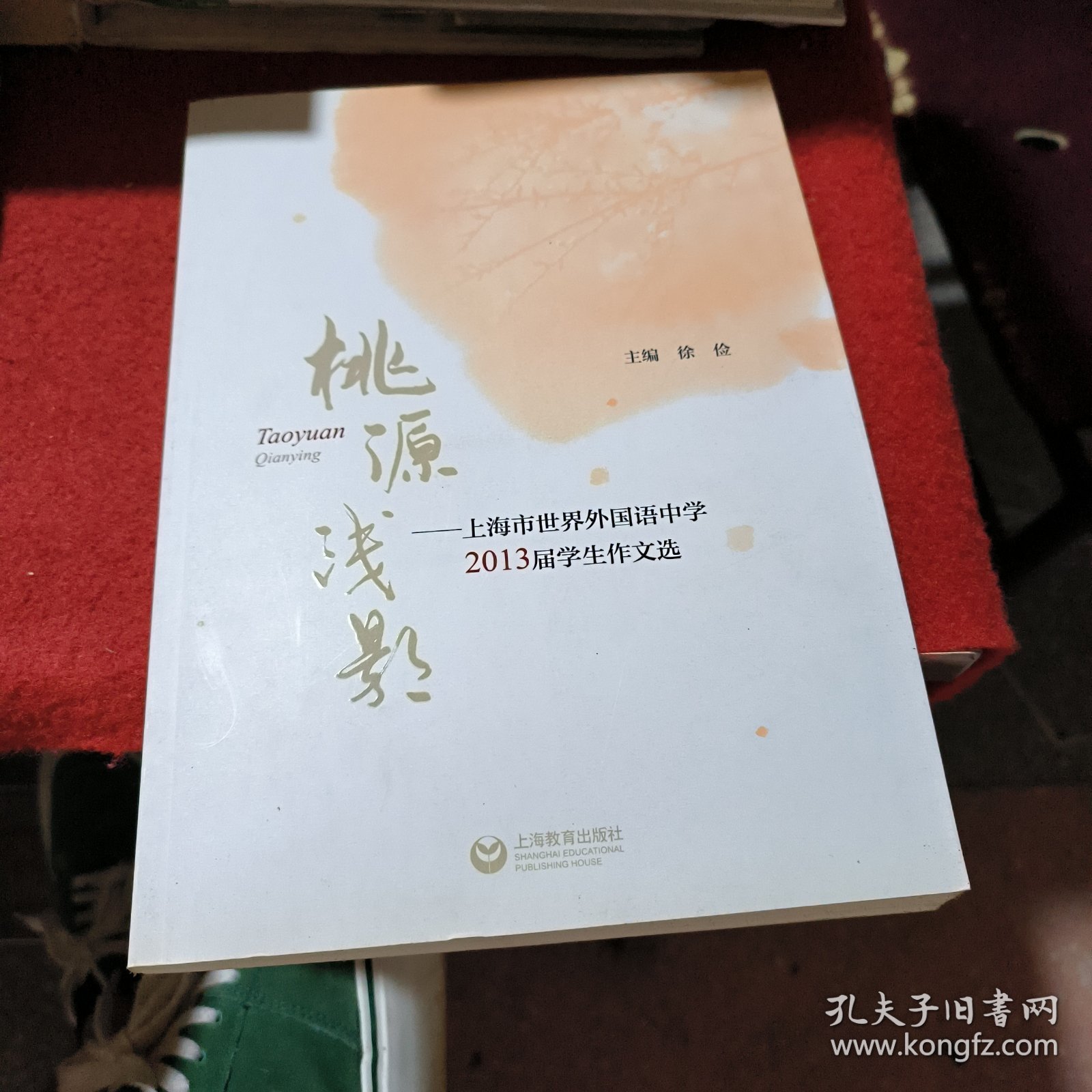 桃源浅影 : 上海市世界外国语中学2013届学生作文选