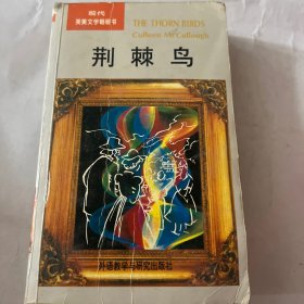 荆棘鸟现代英美文学畅销书。