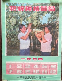 1974年年历（积极种植葡萄）