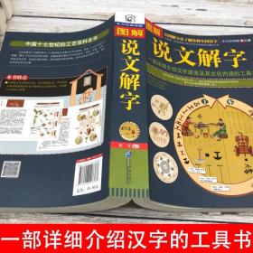 正版图解说文解字古代汉语说文解字注认知语言学象形文字汉语史稿汉字的演变语言与文化中国字中国语言学史分析字形字源的文学著作