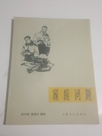 家庭问题（电影文学剧本）